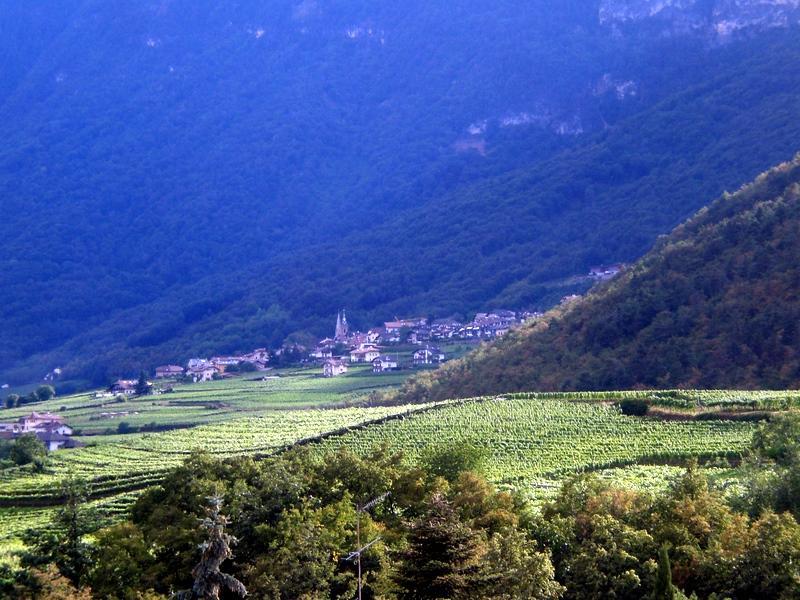 Biobauernhof St. Quirinus Daire Caldaro Dış mekan fotoğraf