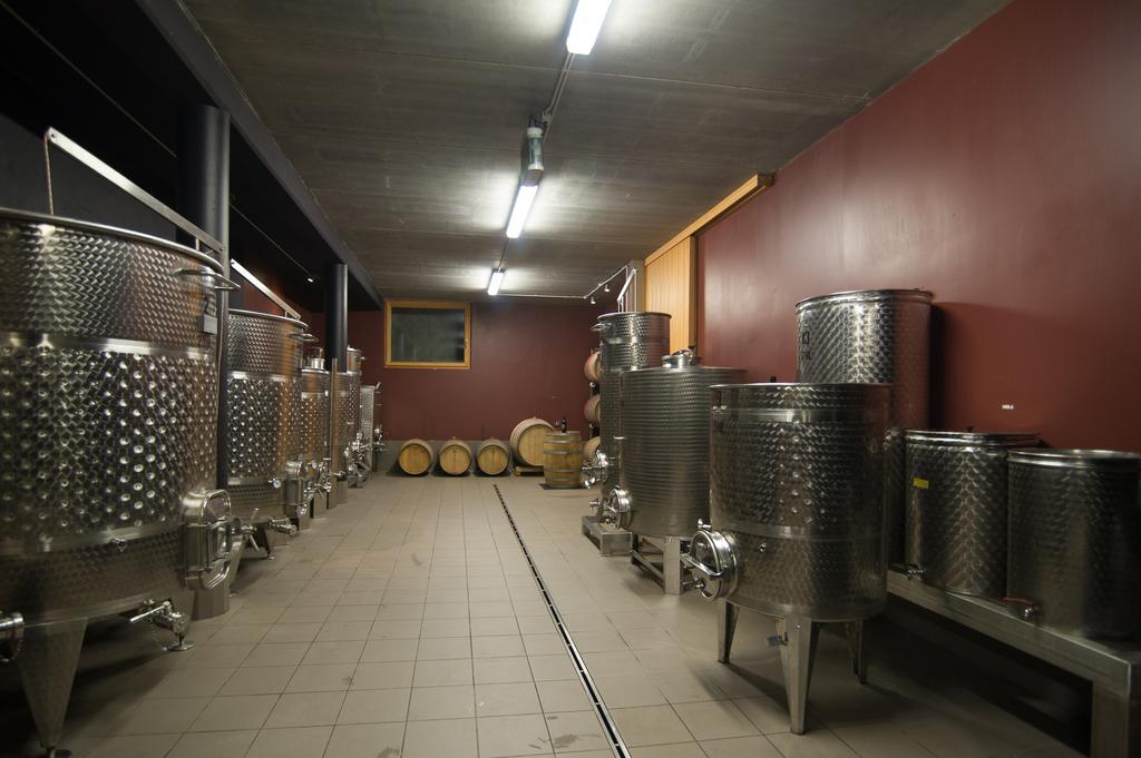 Biobauernhof St. Quirinus Daire Caldaro Dış mekan fotoğraf